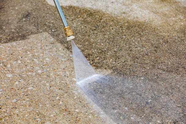 Best Driveway Pressure Washing  in Lakehurst, NJ